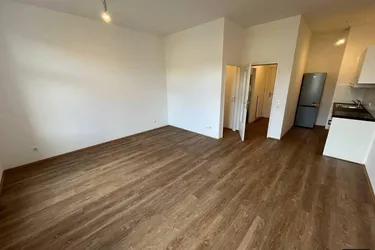 Sanierte 1-Zimmer-Wohnung mit neuer Einbauküche in Donawitz zu vermieten