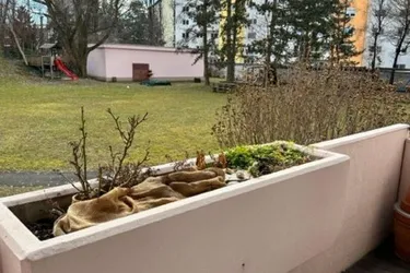Zentrale 3-Zimmer-Wohnung mit Balkon
