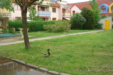 VERMIETET! St. Peter: Sonnige Wohnung mit kleiner Süd-Westterrasse und TG nächst Murpark