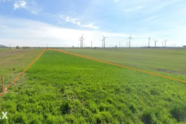 Ortsrandlage 2 Grundstücke mit ~ 2 ha 6,5 € / m² FP
