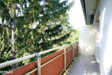 Charmante 1-Zimmer-Wohnung in Ruhelage – ideal für Anleger!