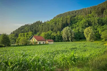 Expose Grossflächiges Bauland mit Potenzial (3129)