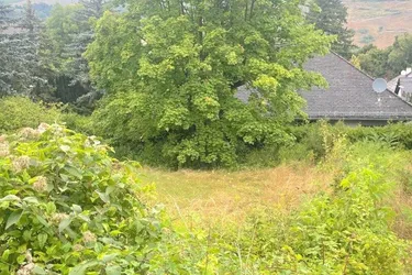 Baugrund in Klosterneuburg – Weidling 1.793 m² Grundstücksfläche | Altbestand vorhanden | teilbar !!