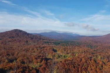 Küstenregion Kroatien: Traumhaft gelegenes Anwesen bei Josipdol