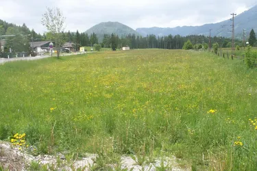 Gewerbegrundstück im Mariazellerland