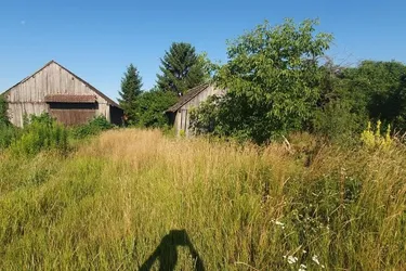 3701 Gr.Weikersdorf-Nähe - großer Baugrund !