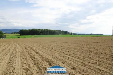 1,22 ha Wirtschaftsgrund mit guter Bonität