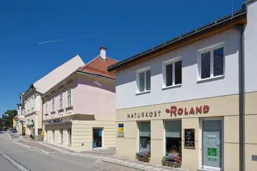 SCHEIBBS XVII, Geschäftsräumlichkeit, EG-GESCHÄFT 01 (19/1), 1000/00010500/00002101