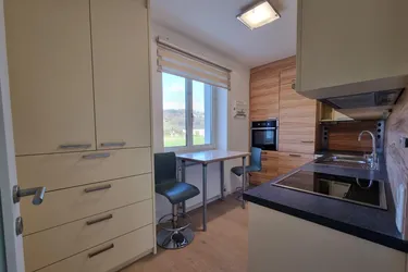 Weitblick auf Donau, Schloss und Natur - wohnen über den Dächern von Ottensheim mit Postkartenblick!