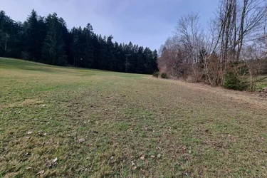 Landwirtschaftliche Nutzfläche - mit kleinem Waldanteil