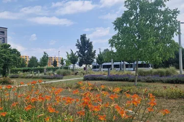 Top Wohnung im Wohnpark in Wetzelsdorf mit Tiefgarage