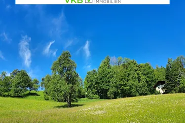 Bad Schallerbach: NEUER PREIS Großflächiges Baugrundstück (6395m²) in Zentrumslage zu verkaufen!