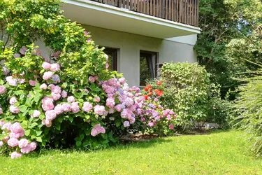 3-Zimmer-Wohnung in Seenähe