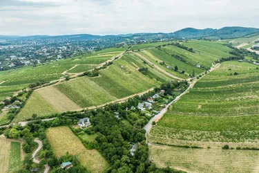 Hochwertiges Baugrundstück am Nussberg: Genehmigte Doppelhaushälfte