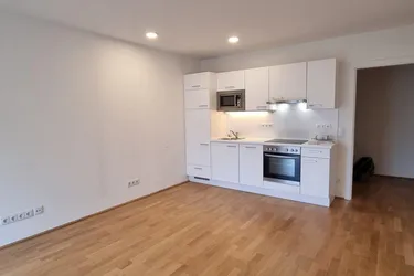 PERFEKTE WOHNUNG FÜR STADTBUMMLER UND WIEN LIEBHABER