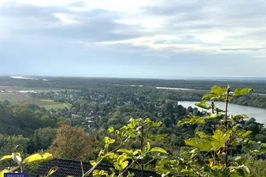 Donaublick traumhaft - Einfamilienhaus mit fantastischen Ausblick über die Donauauen und in das Weinviertel!