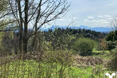 Baugrund Bergblick