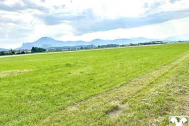 Einmalige Gelegenheit: Investment-Grundstück