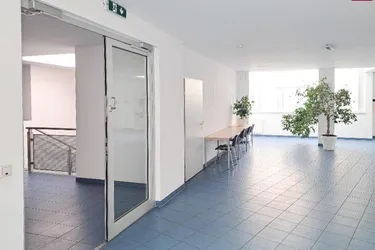 Büro 182 m2 im Industriezentrum Liesing zu mieten