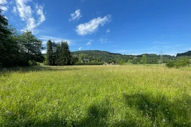 Schöne landwirtschaftliche Flächen mit 3.208m² - Nähe Hafnersee - Kein Baugrund!