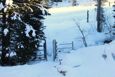 Turracher Höhe- Natur Pur genießen - Almhütte/Berghütte - Skifahren - Wandern in absoluter Traumlage
