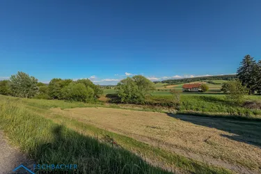 Naturparadies in ruhiger Siedlungslage / ohne Bauzwang