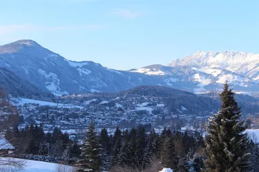Expose PINZGAU: SCHNÄPPCHEN: Bauernsacherl mit 3,5ha