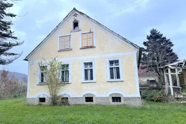 Expose Fehring- Brunn, Herrenhaus, hohen Sanierungsbedarf, Bach, Teich , Bauernhaus, Grund ca. 27.335 m², Mühle