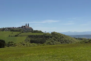 Großes Grundstück mit herrlicher Aussicht auf Maria Taferl und ins Alpenvorland! Hobbylandwirtschaft möglich!