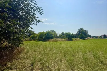 PROJEKTENTWICKLUNG / INVESTOREN-HIT: 9.800 m² Bestlage in Marchtrenk