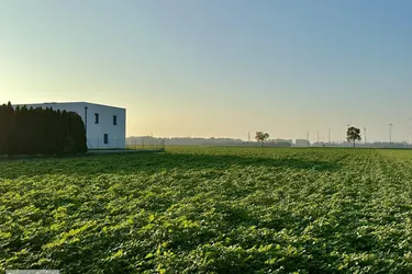 VOLLE FLEXIBILITÄT, ABENDSONNE, PRIVATSTRASSE /// zwei Baugrundstücke mit perfekter Infrastruktur