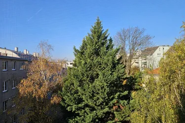 Geräumige, sonnige 3-Zimmer Wohnung mit Loggia