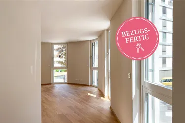 BAUMKRONENBLICK AUS 3 VON 5 FENSTERN