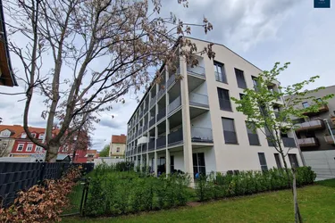 Prangelgasse 25/21 - Moderne 2-Zimmerwohnung mit Balkon in Toplage