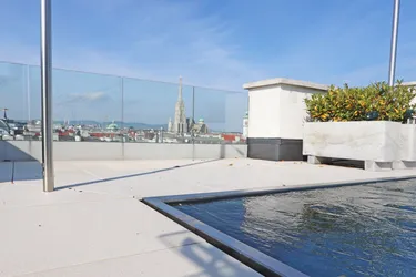 Expose Über den Dächern Wiens: Stephansdom-Blick mit Pool