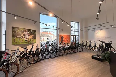 Modernes Loft-Geschäftslokal vis-a-vis Unteres Belvedere