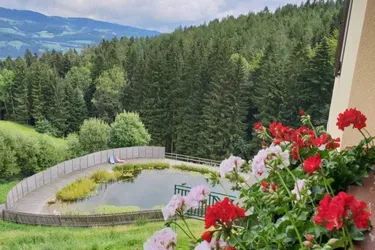 NATUR PUR-traumhaft schöne Aussichtslage, barrierefreie Hausetage, Naturschwimmteich/Wellnessoase 3 Zimmer mit 2 Balkone, Garten und Parkplatz-Pöllauertal