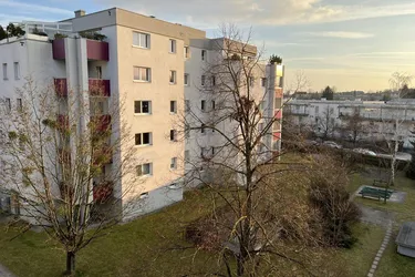 VOGELGEZWITSCHER