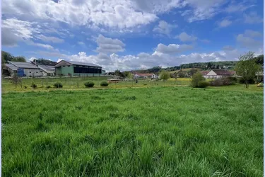 Günstiges Baugrundstück im Steirischen Vulkanland! 820m2, eben, ruhig, Nähe Feldbach, WA 0,2-0,4.