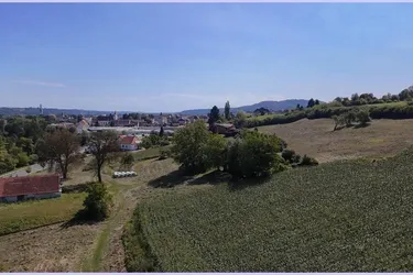 Erhöht gelegenes wunderschönes Baugrundstück in Feldbach. Gute Anbindung, 3000m2