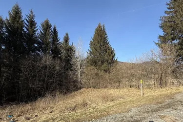 NEU! BAUGRUNDSTÜCK AM ENDE EINER SACKGASSE IN STEINHAUS AM SEMMERING!