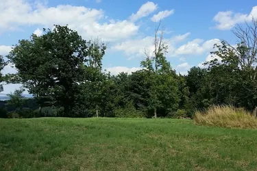 Grünland Tullnerfeld Aussichtslage