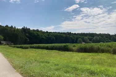 JETZT ZUGREIFEN – Doppelbauparzelle bei Bad Blumau zum Top-Preis!