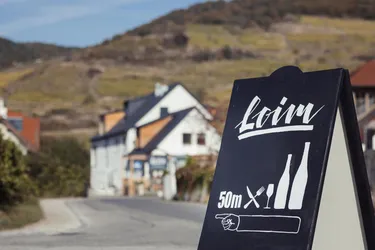 Werde Gastgeber/in an einem der schönsten Orte Österreichs – im Herzen der Wachau!