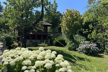 Neustift am Walde + FERNBLICK + RUHELAGE + EIGENGRUND!