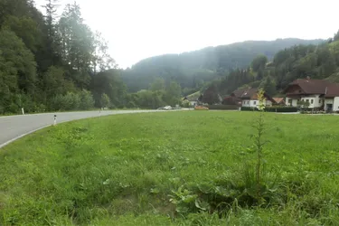 NEUBERG AN DER MÜRZ/KAPELLEN - SCHÖN GELEGENE BAURECHTSGRÜNDE