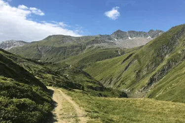 1000 ha Eigenjagd zu verpachten