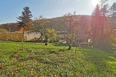 Sehr gut bebaubare Liegenschaft mit eigenem Wald!