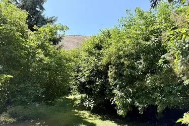 idyllischer verträumter Garten - kein vis-a-vis - einzigartiger Baugrund - 578 m²