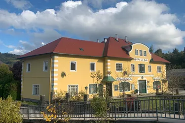 Modernisiertes Investitionsobjekt mit 700 m² und Garten in Weyer